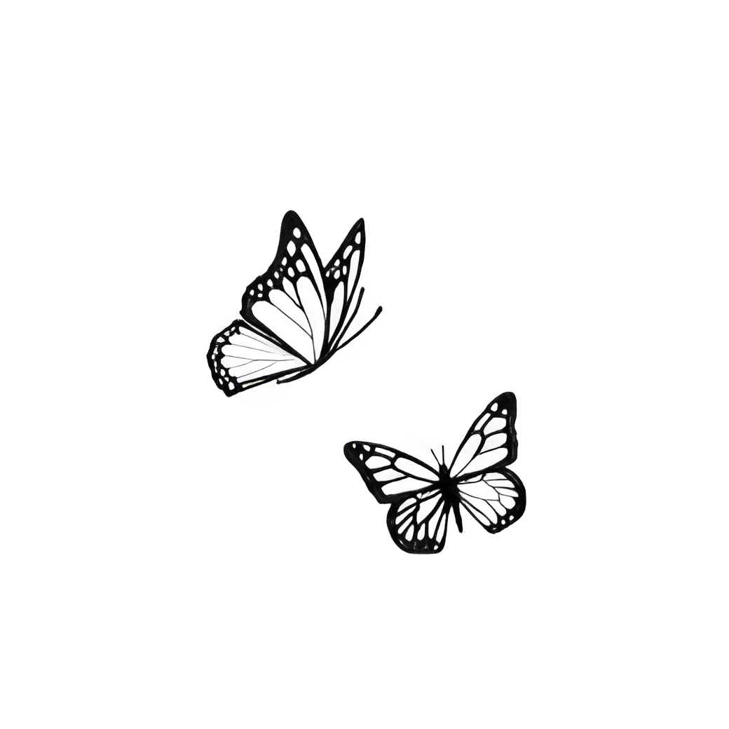 Butterfly - A New Chapter