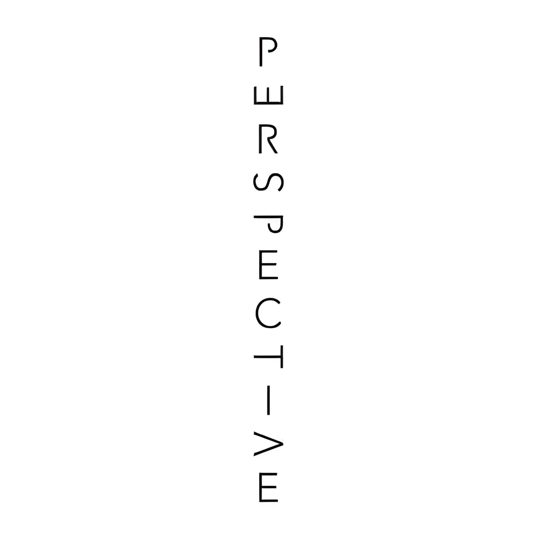 Perspective