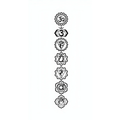 The 7 Chakras