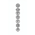 The 7 Chakras